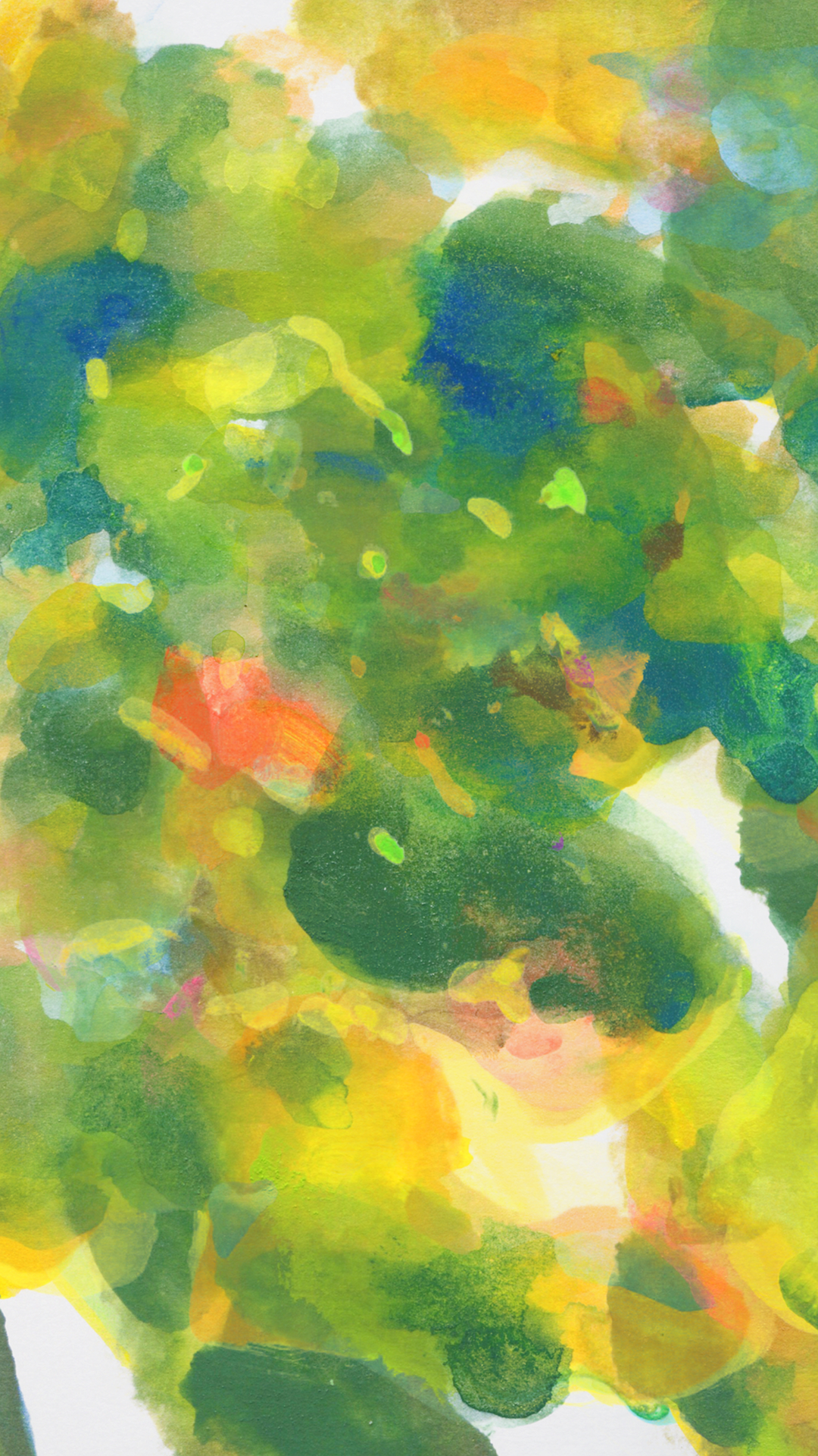Veils of Landscape — 山中千尋 - Chihiro Yamanaka
