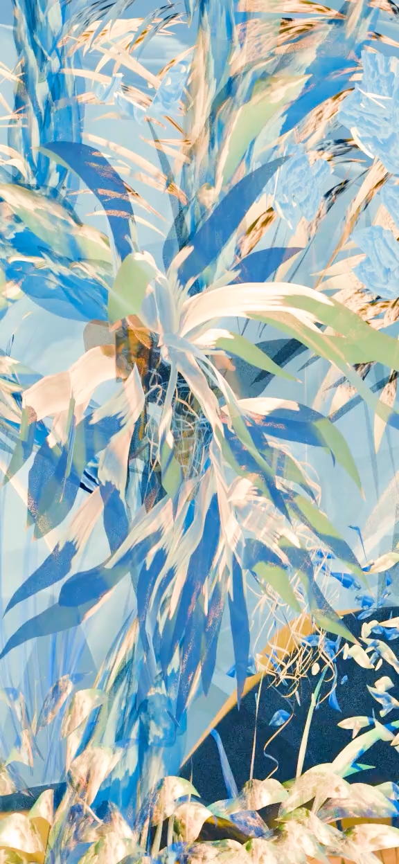 Paradise — stefany