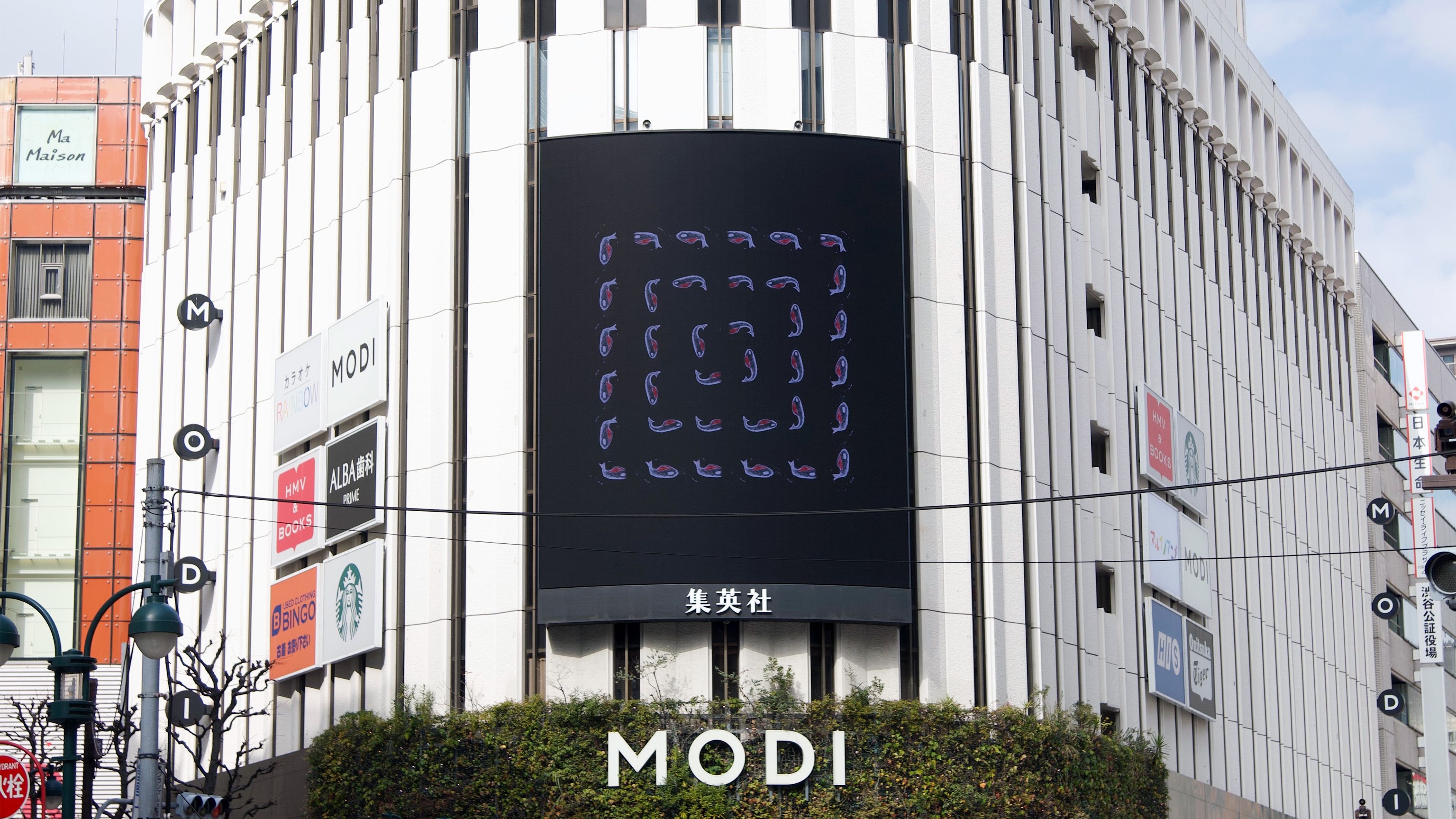 橋本麦《Permutation》