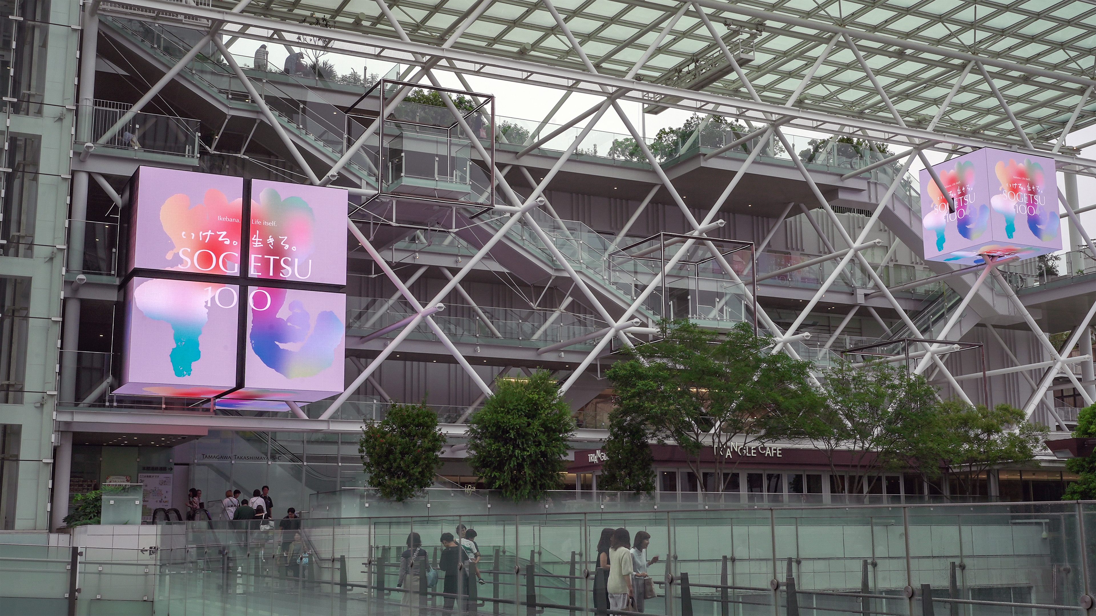 草月の秋 — 玉川髙島屋S.C. LED VISION CUBE